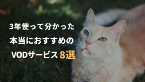 VODサービス歴3年が選ぶ本当におすすめのサービス8選【ランキング付き】