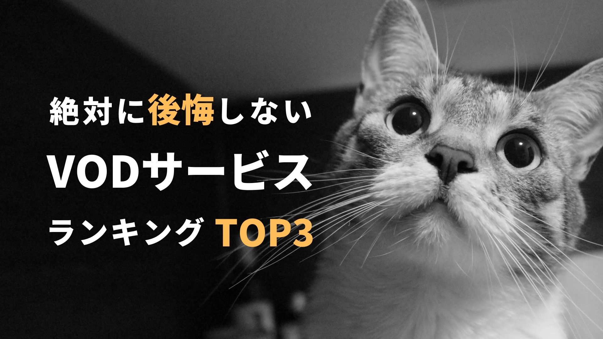 絶対に失敗しないVODサービス(動画配信)おすすめランキングTOP3